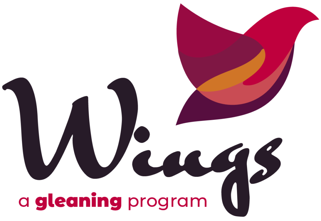 wings feminine hygiene kit program logo