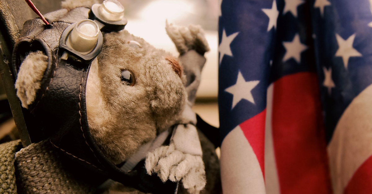 veterans and teddy bear collection drives october november 2025 featured image