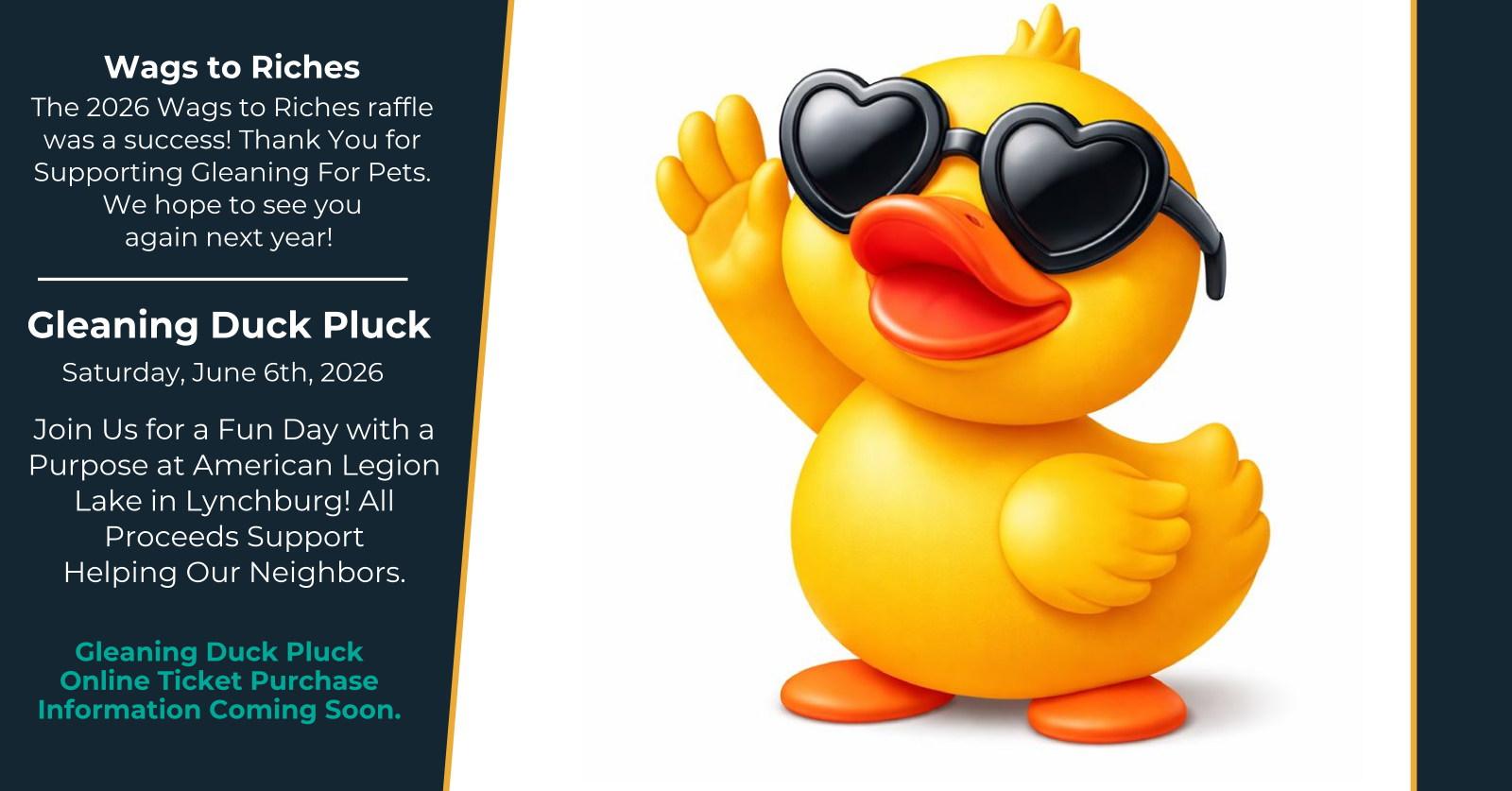 gleaning duck pluck infographic