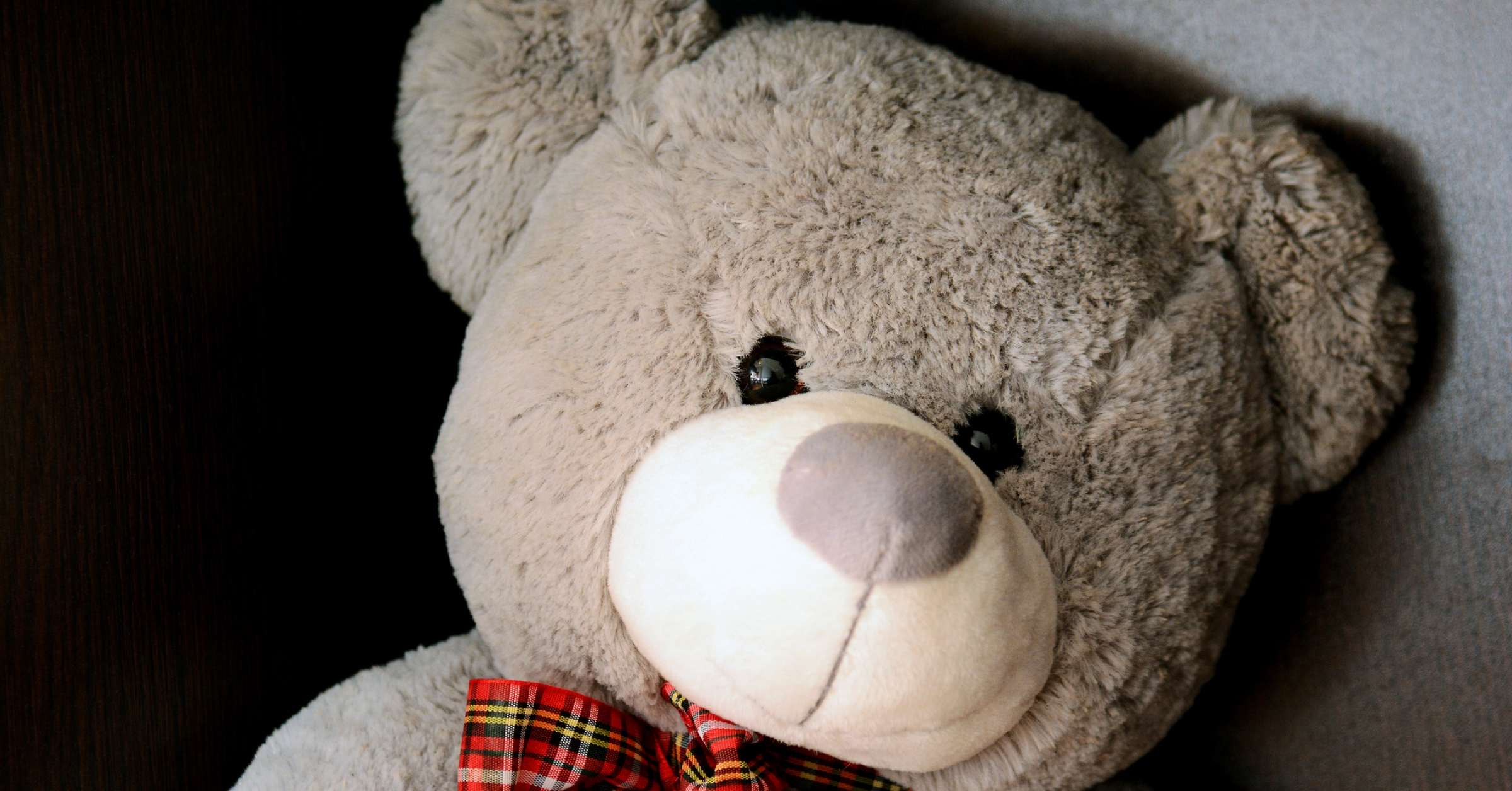 grey-brown teddy bear close up on face wearing bow tie